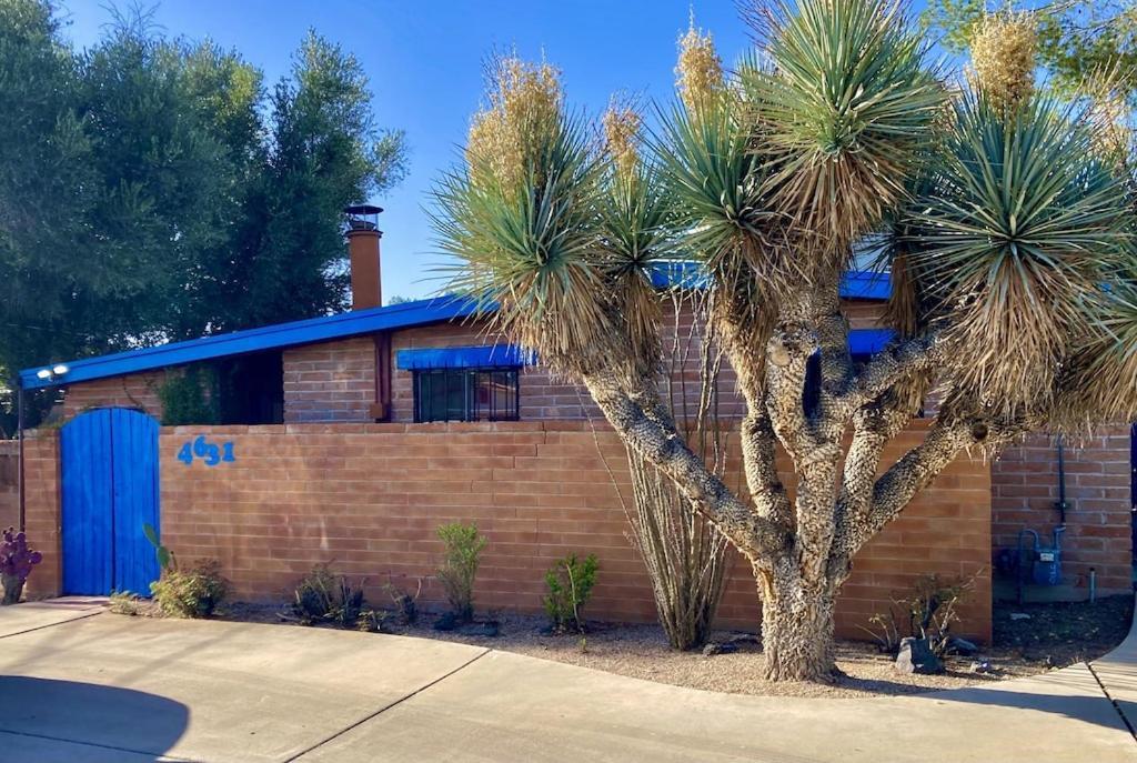 Casa Azul - Cute Centrally Located Adobe With Large Fenced Outdoor Living For Pets And Adults, Non-Smoking توسن المظهر الخارجي الصورة